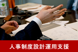 人事制度支援