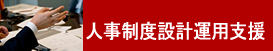 人事制度支援