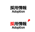採用情報